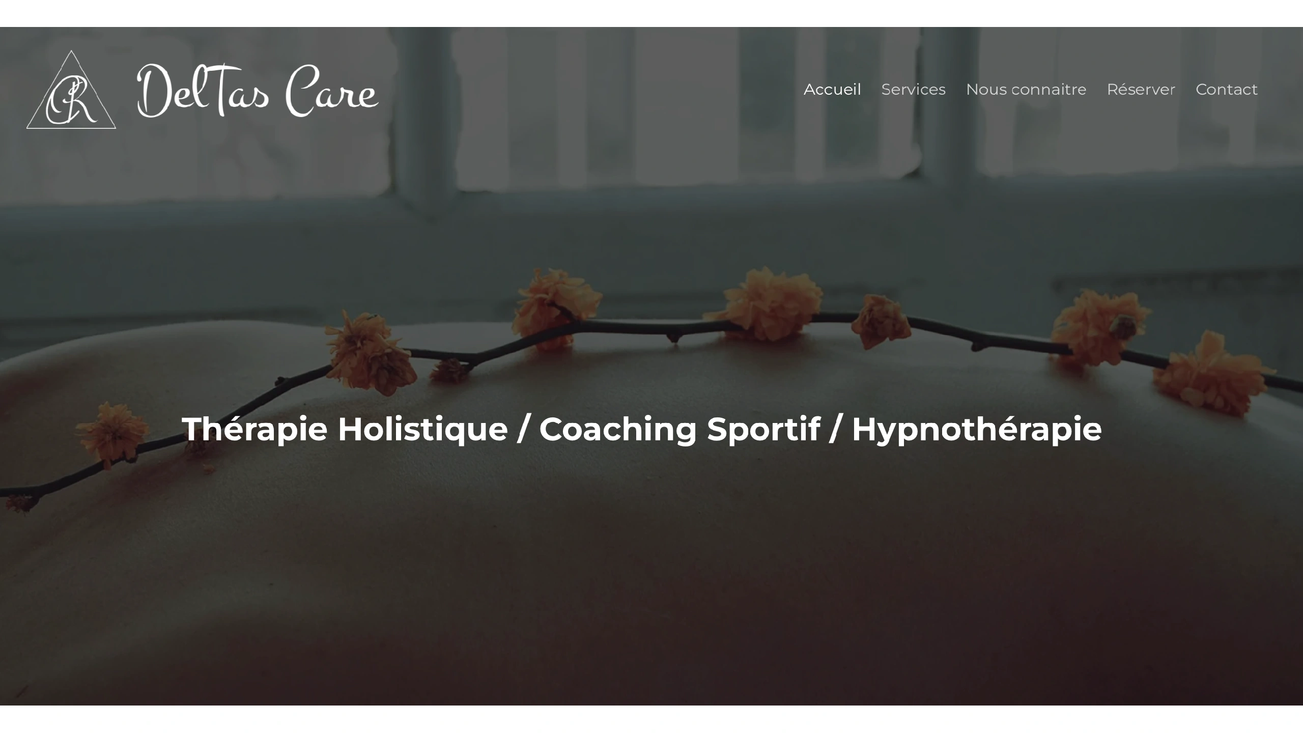 Page d'accueil du site de DelTas Care, après refonte totale.